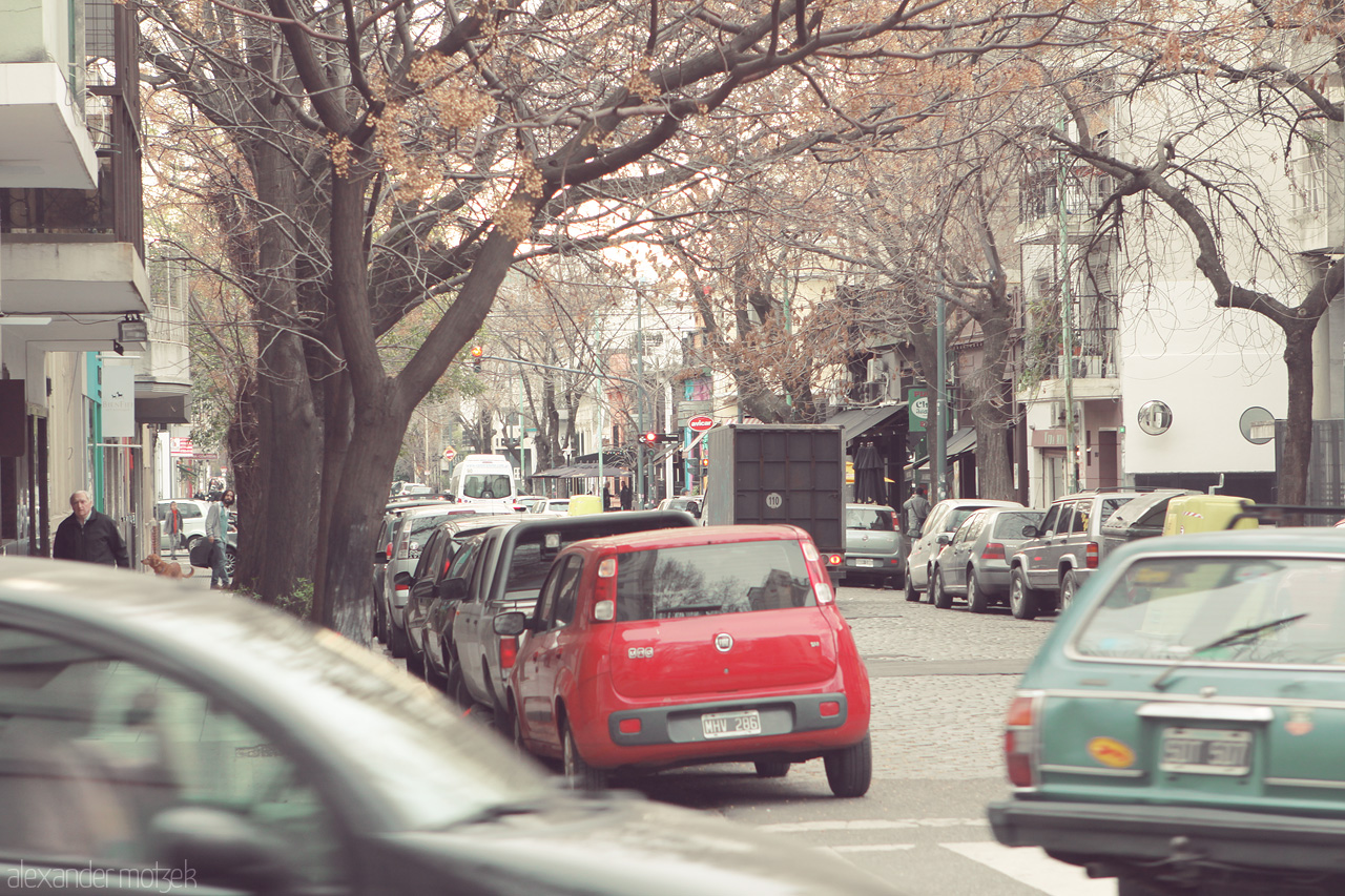 Recoleta Reverie Foto von A serene street scene in Buenos Aires, capturing the blend of urban life and leafy avenues in the neighborhood of Recoleta.